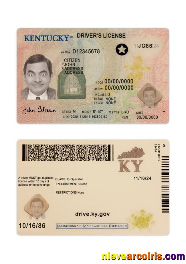 USA Kentucky driving license 2020-present
